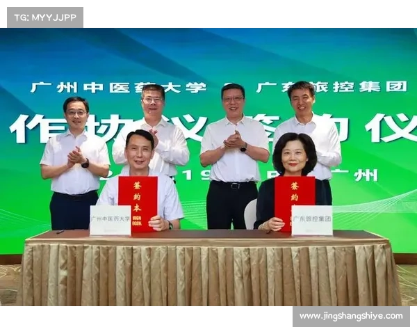 斗战神全新篇章详细攻略深入解析必看技巧与战略全方位指南