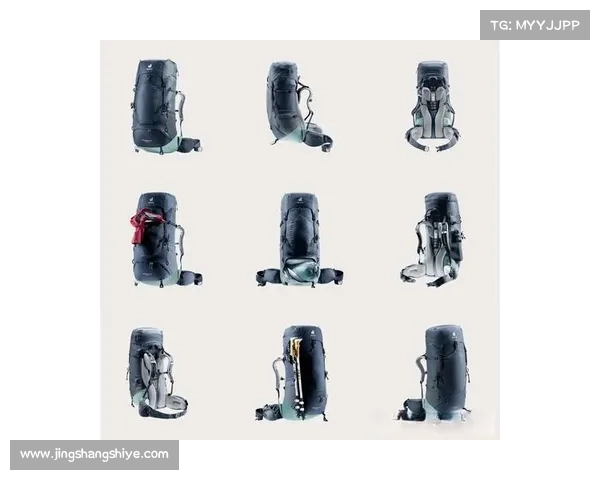 如何根据不同探险需求选择合适的装备保障安全与舒适性