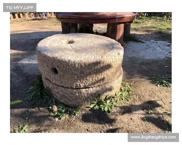 从真实历史到虚拟记忆浅析刺客信条中历史与虚拟世界的交织关系