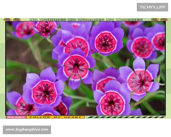 戴资颖亮相台湾园艺展览 展示独特花卉作品引人注目